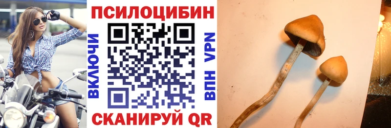 блэк спрут рабочий сайт  Сергач  Псилоцибиновые грибы мухоморы 